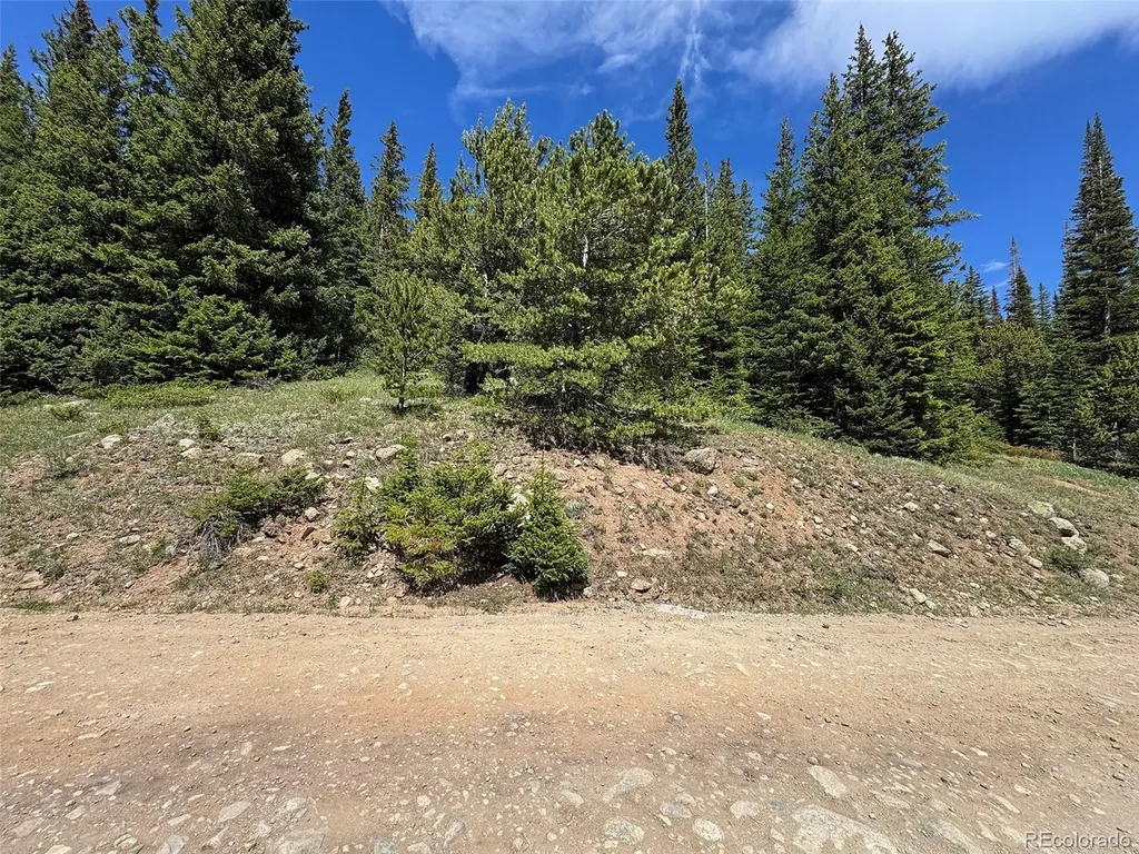 3894 Fourth Of July Road Nederland CO 80466