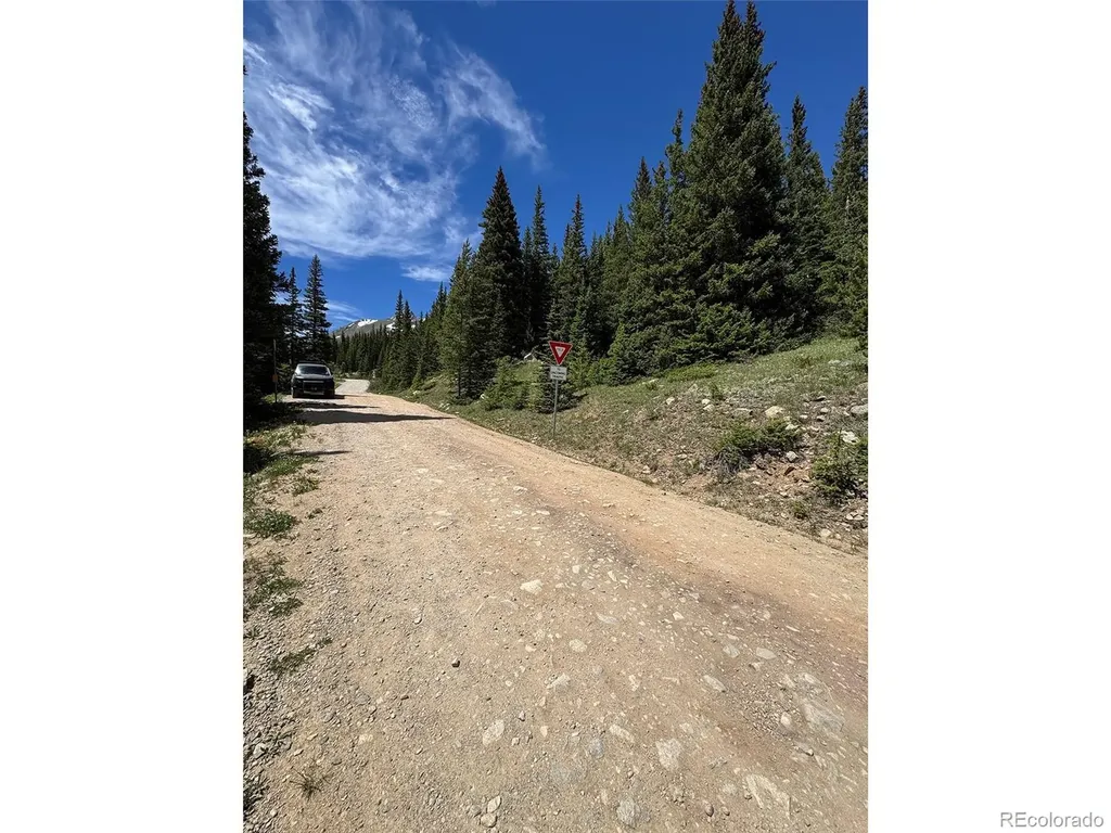 3894 Fourth Of July Road Nederland CO 80466