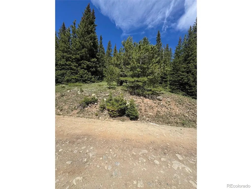 3894 Fourth Of July Road Nederland CO 80466