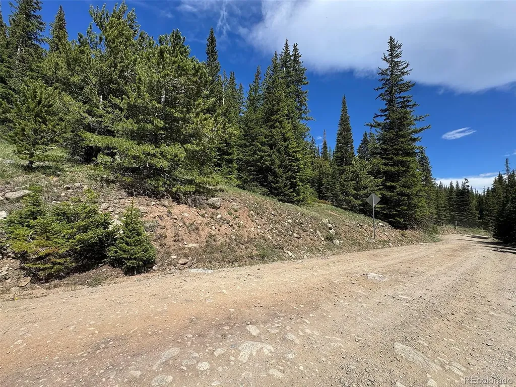 3894 Fourth Of July Road Nederland CO 80466