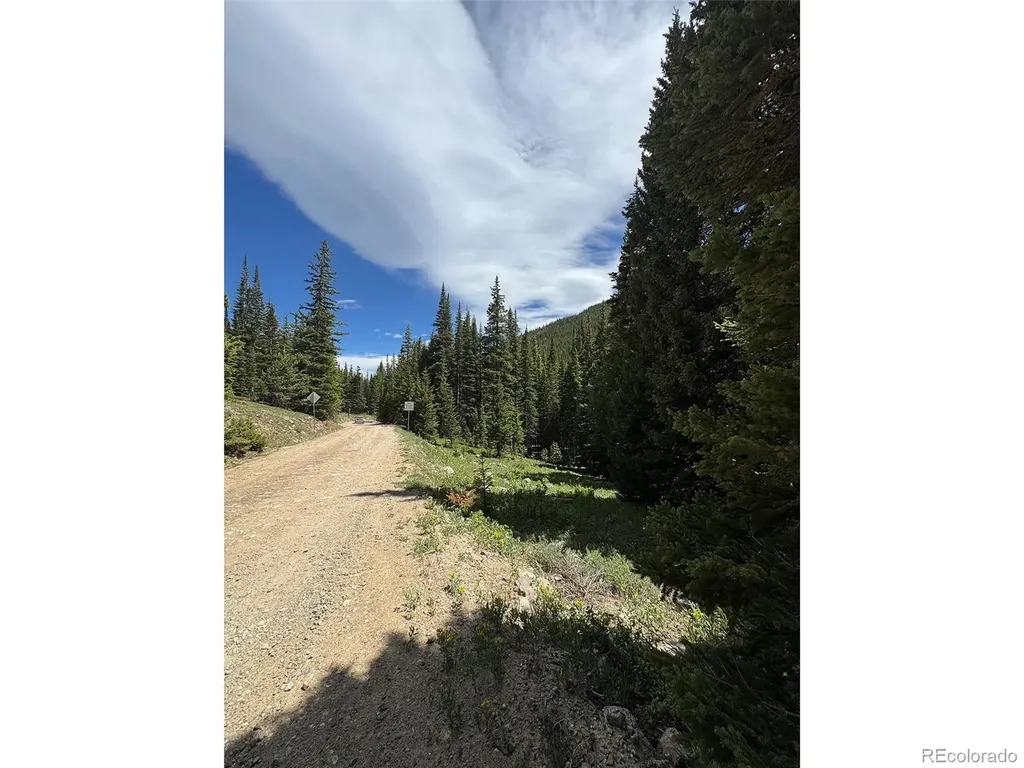 3894 Fourth Of July Road Nederland CO 80466