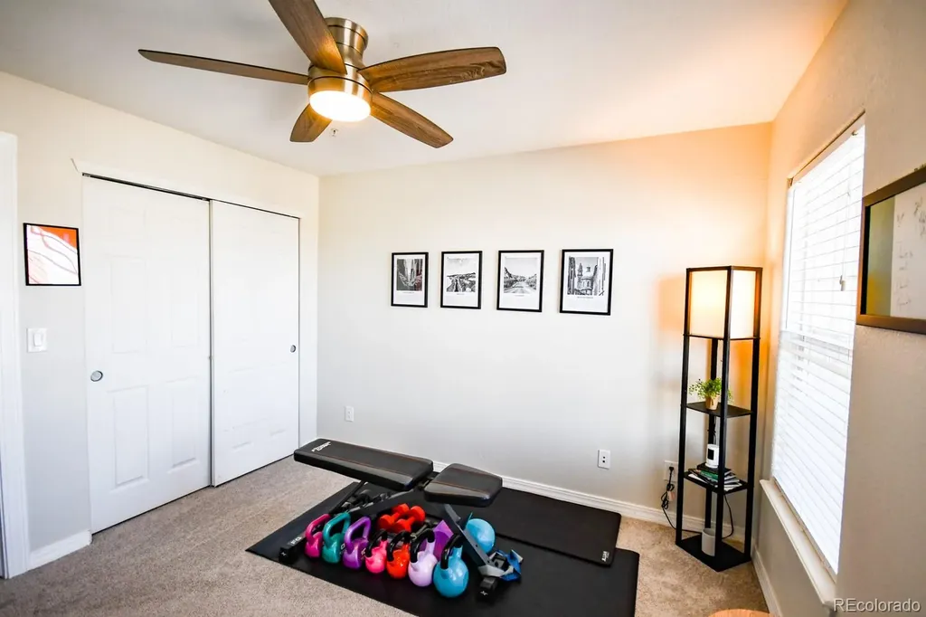 479 Black Feather Loop Castle Rock CO 80104