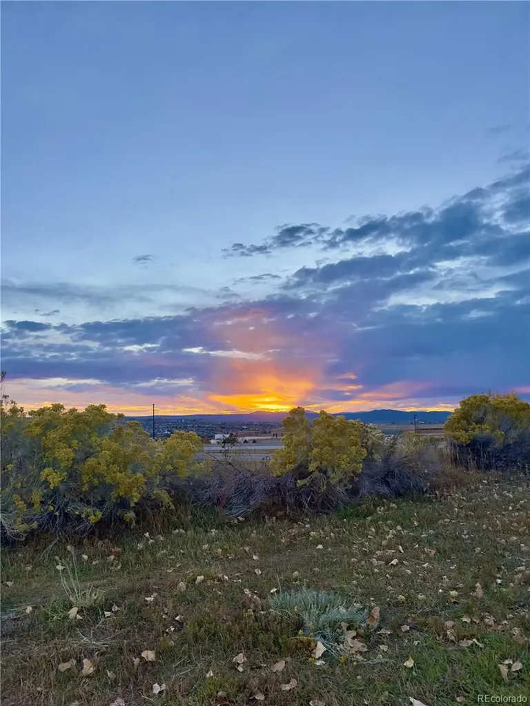 479 Black Feather Loop Castle Rock CO 80104