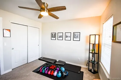 479 Black Feather Loop Castle Rock CO 80104
