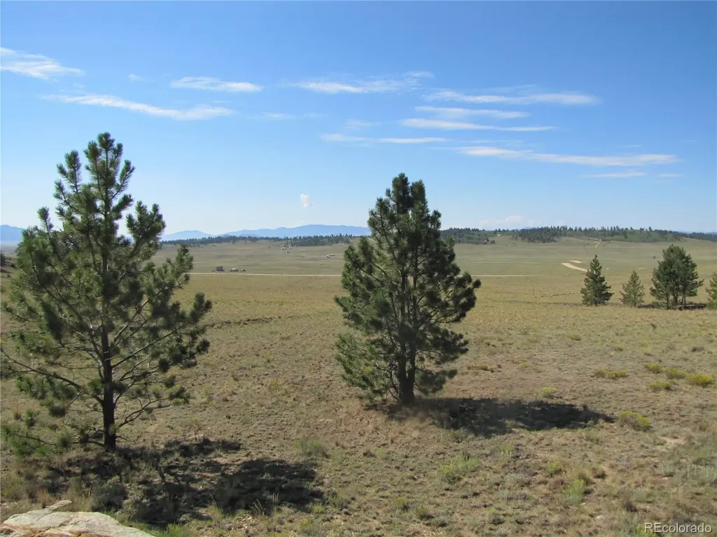 984 Arapahoe Trail Hartsel CO 80449