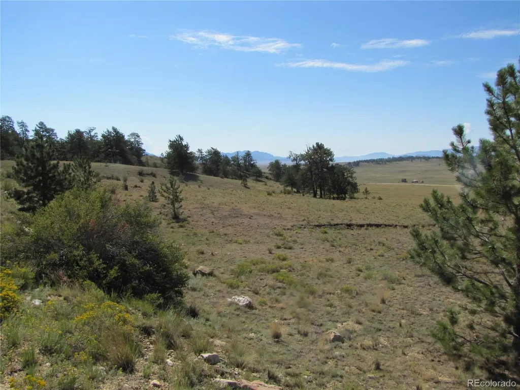 984 Arapahoe Trail Hartsel CO 80449