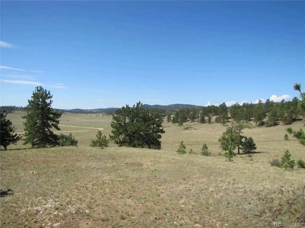 984 Arapahoe Trail Hartsel CO 80449