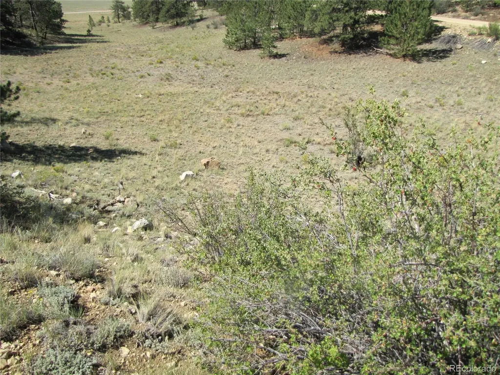 984 Arapahoe Trail Hartsel CO 80449