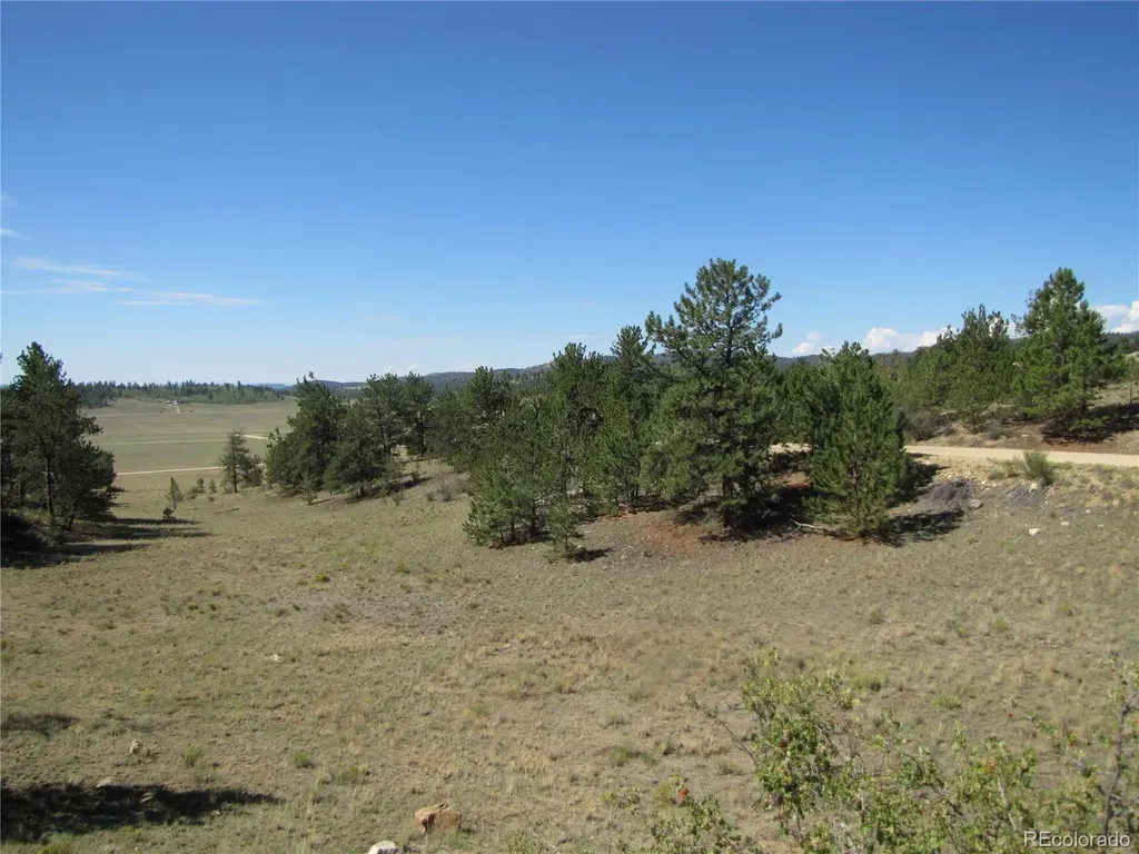 984 Arapahoe Trail Hartsel CO 80449