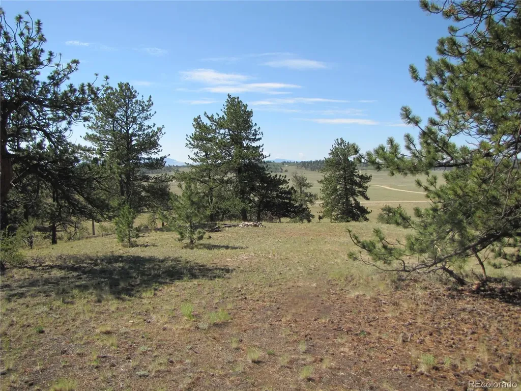 984 Arapahoe Trail Hartsel CO 80449
