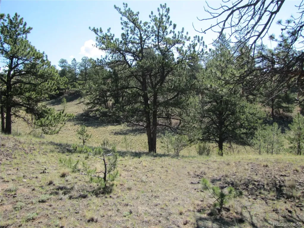 984 Arapahoe Trail Hartsel CO 80449