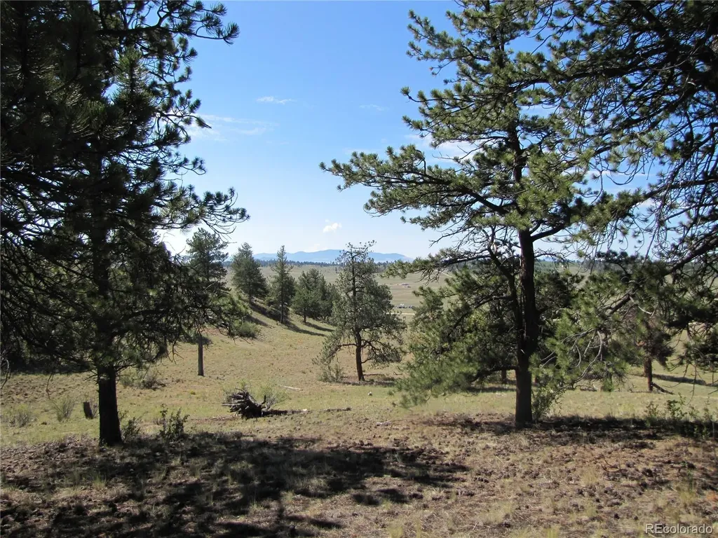 984 Arapahoe Trail Hartsel CO 80449