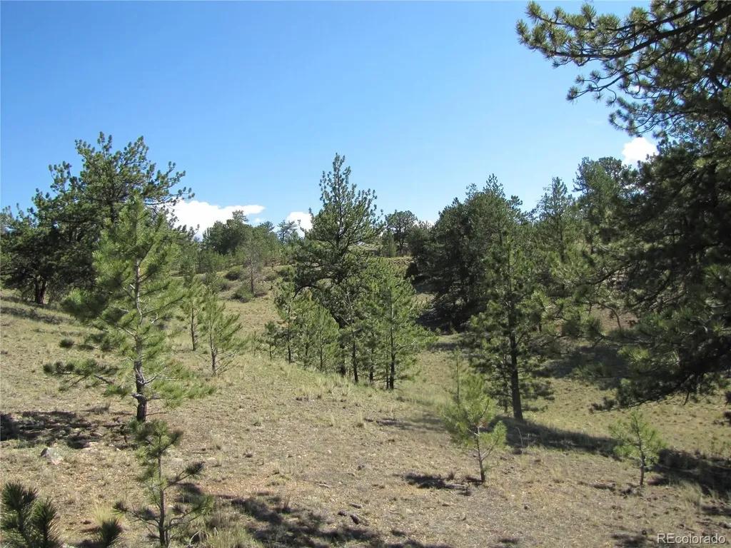 984 Arapahoe Trail Hartsel CO 80449