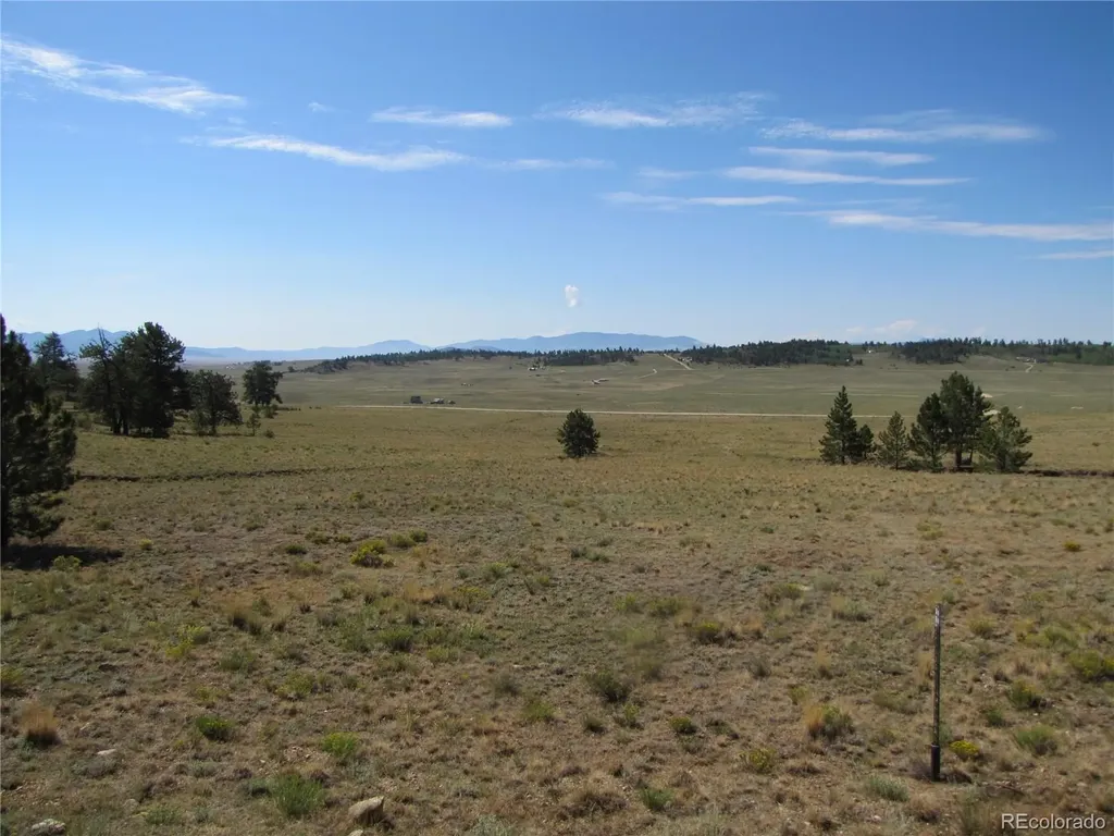 984 Arapahoe Trail Hartsel CO 80449