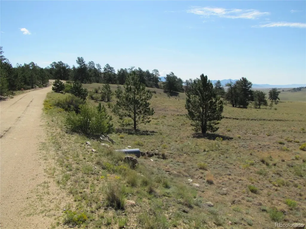 984 Arapahoe Trail Hartsel CO 80449