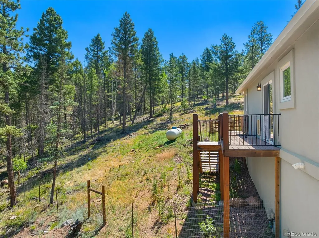 2775 Pathfinder Road Florissant CO 80816