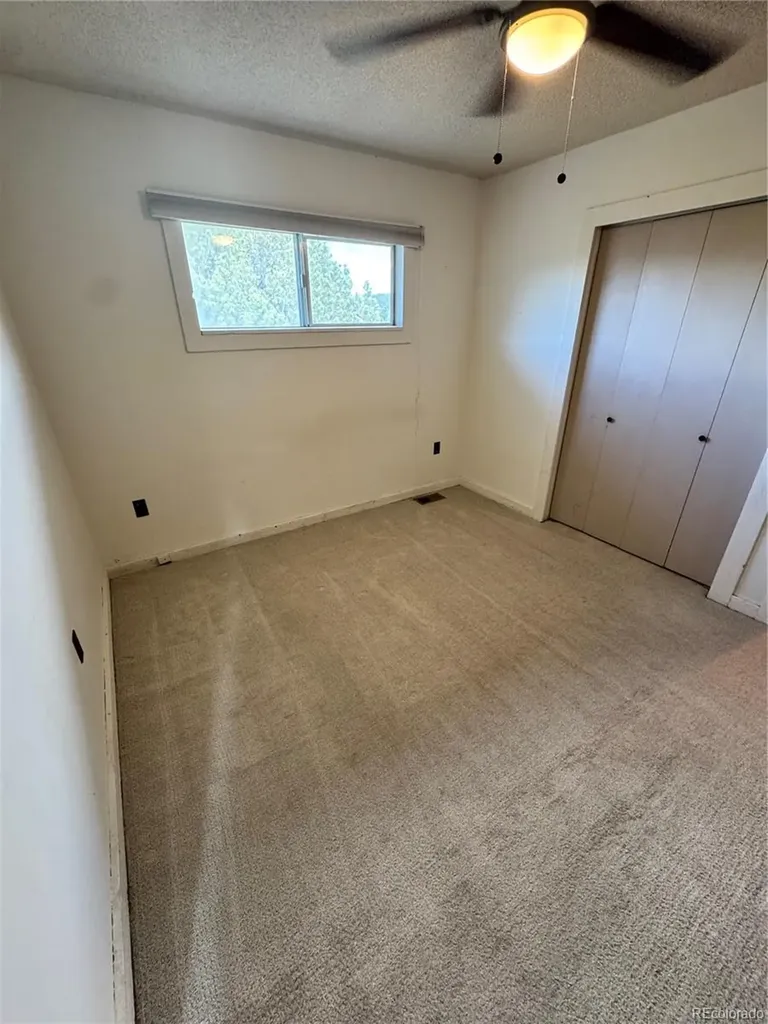 16695 County Road 162 Nathrop CO 81236