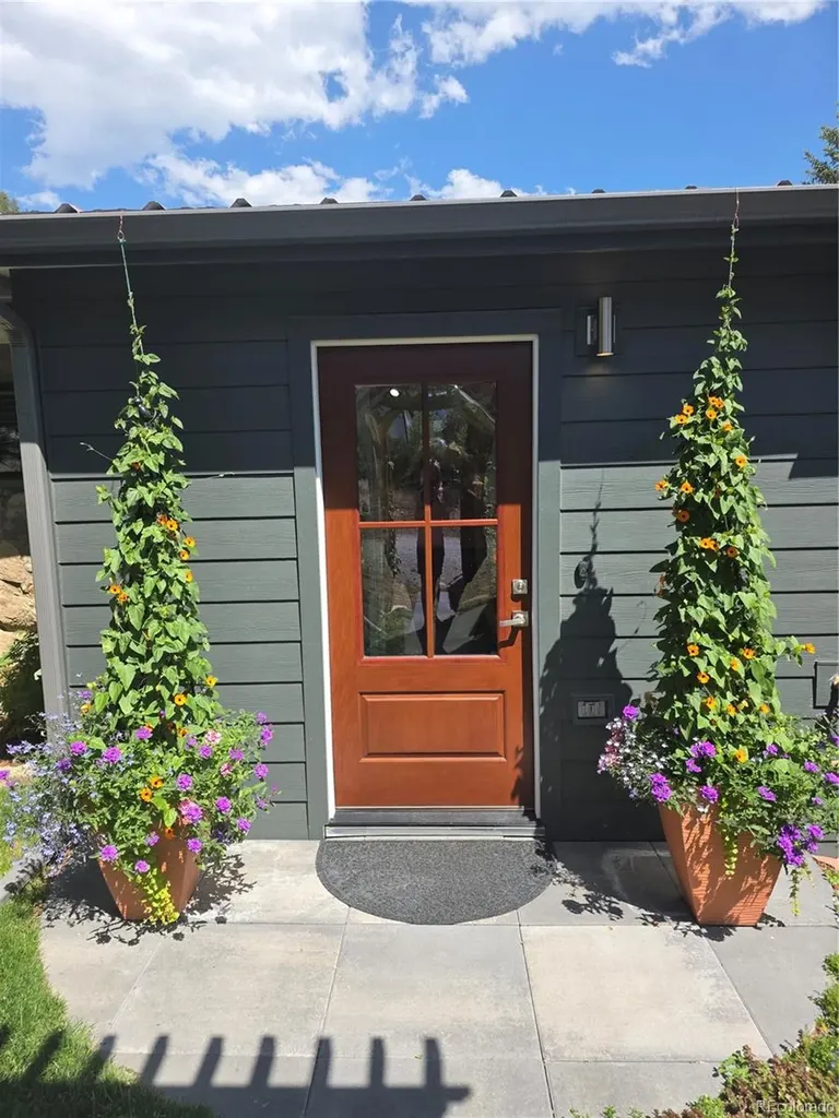 62 N Cowles Street Empire CO 80438