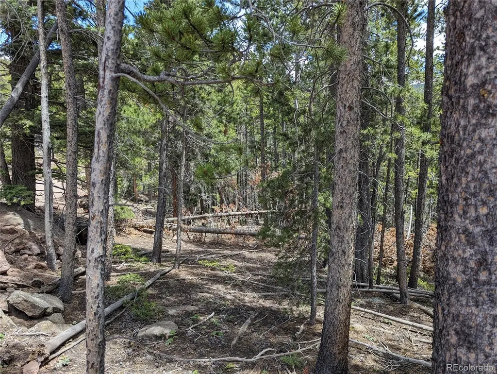 3159 Purnell Lane Fort Garland CO 81133