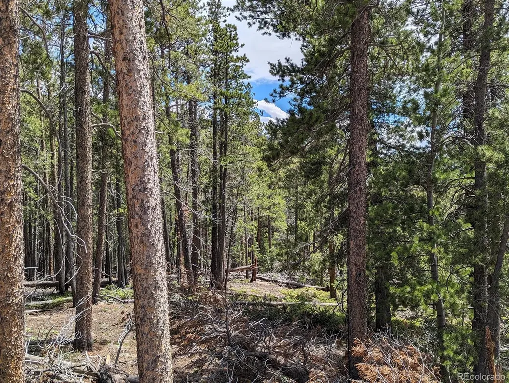 3159 Purnell Lane Fort Garland CO 81133
