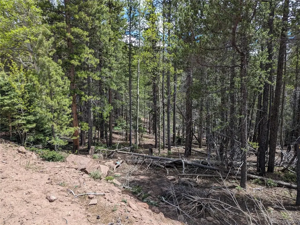 3159 Purnell Lane Fort Garland CO 81133