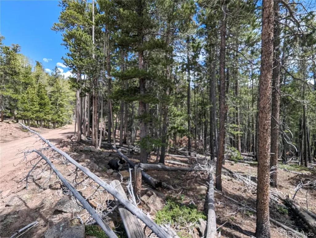 3159 Purnell Lane Fort Garland CO 81133