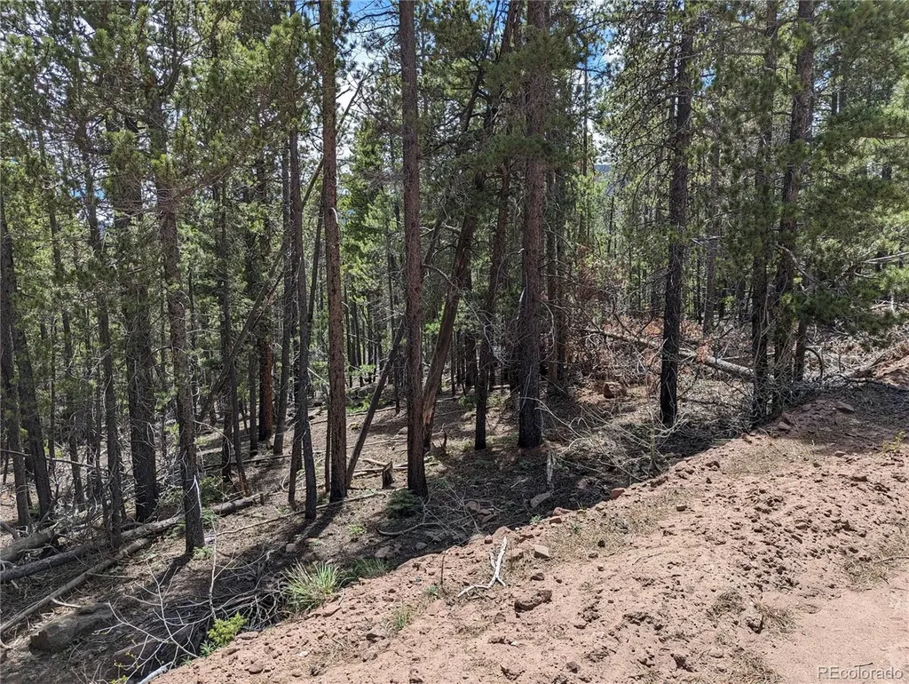3159 Purnell Lane Fort Garland CO 81133