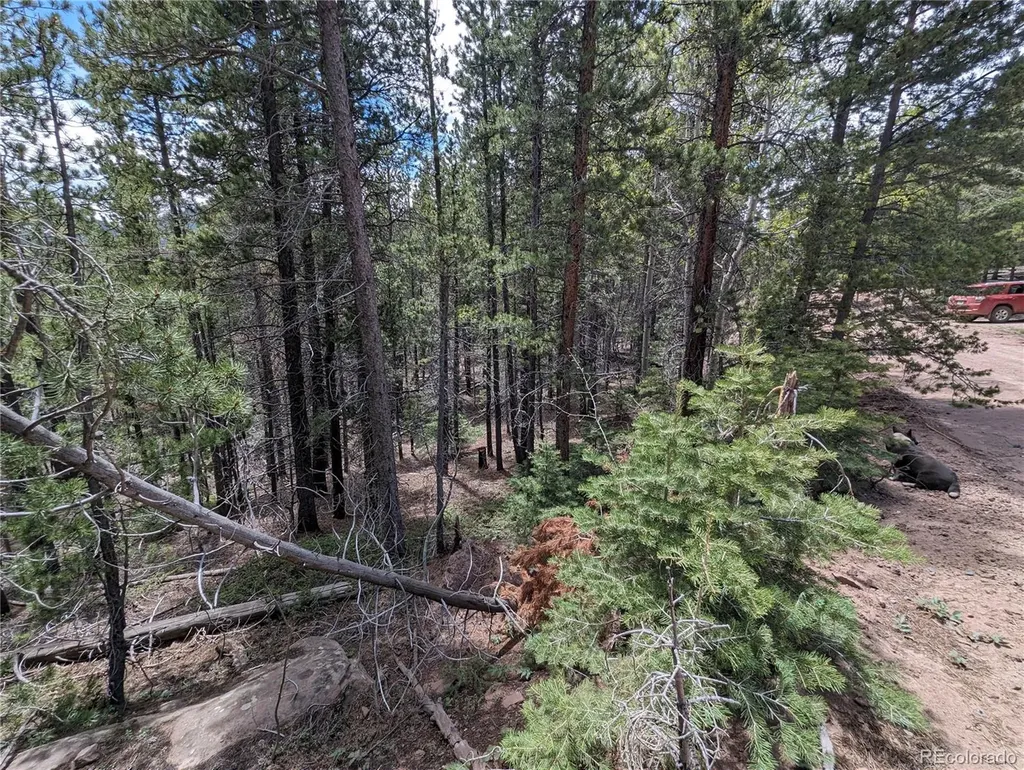 3159 Purnell Lane Fort Garland CO 81133