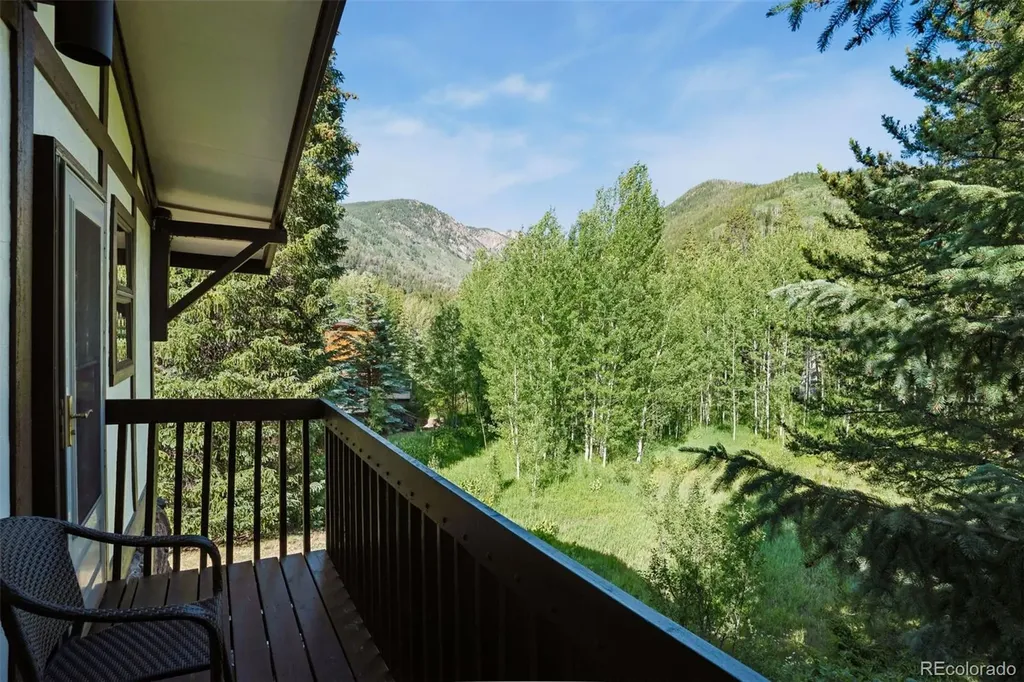 5064 Black Gore Drive Vail CO 81657