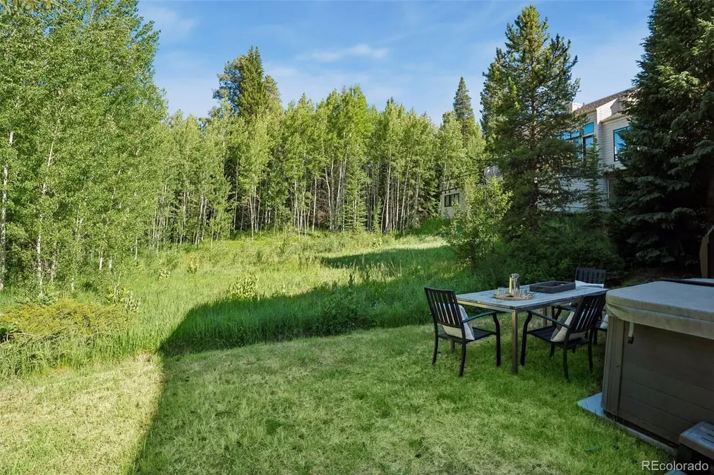 5064 Black Gore Drive Vail CO 81657