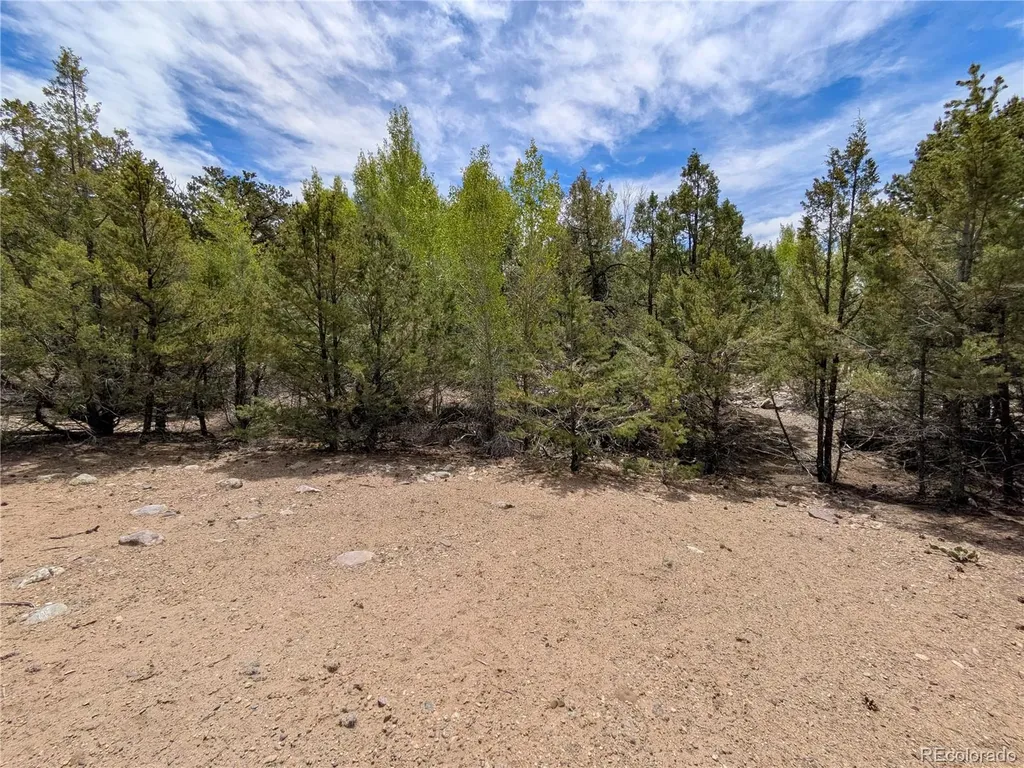3825 Virtue Way Crestone CO 81131