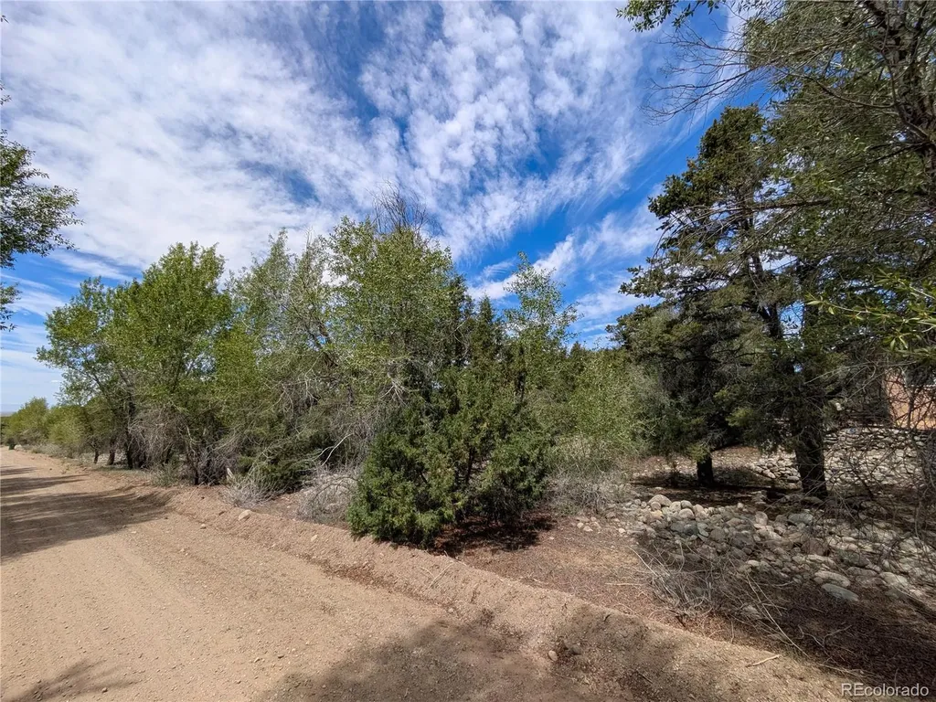 3825 Virtue Way Crestone CO 81131