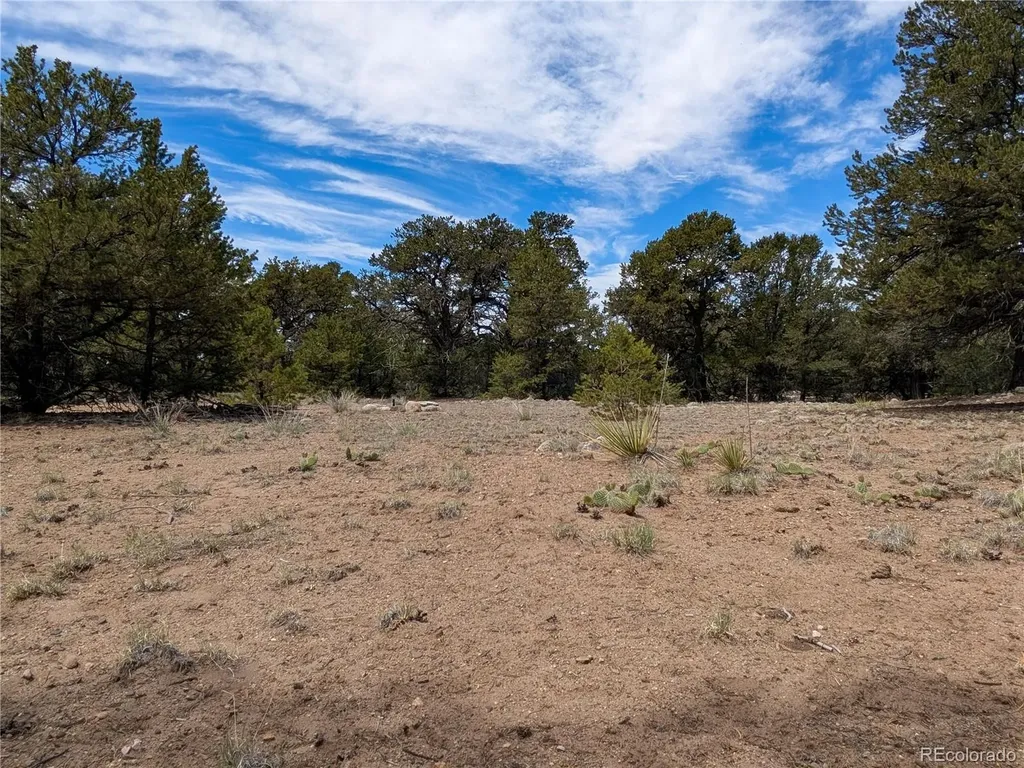 3825 Virtue Way Crestone CO 81131