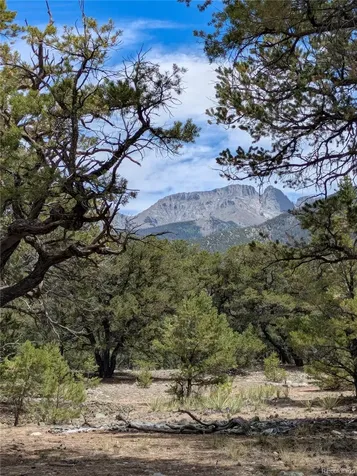 3825 Virtue Way Crestone CO 81131