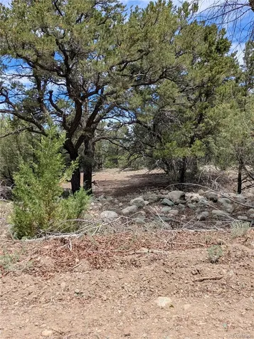 3825 Virtue Way Crestone CO 81131