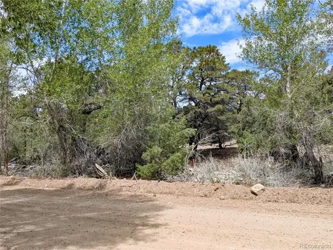 3825 Virtue Way Crestone CO 81131