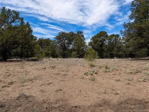3825 Virtue Way Crestone CO 81131