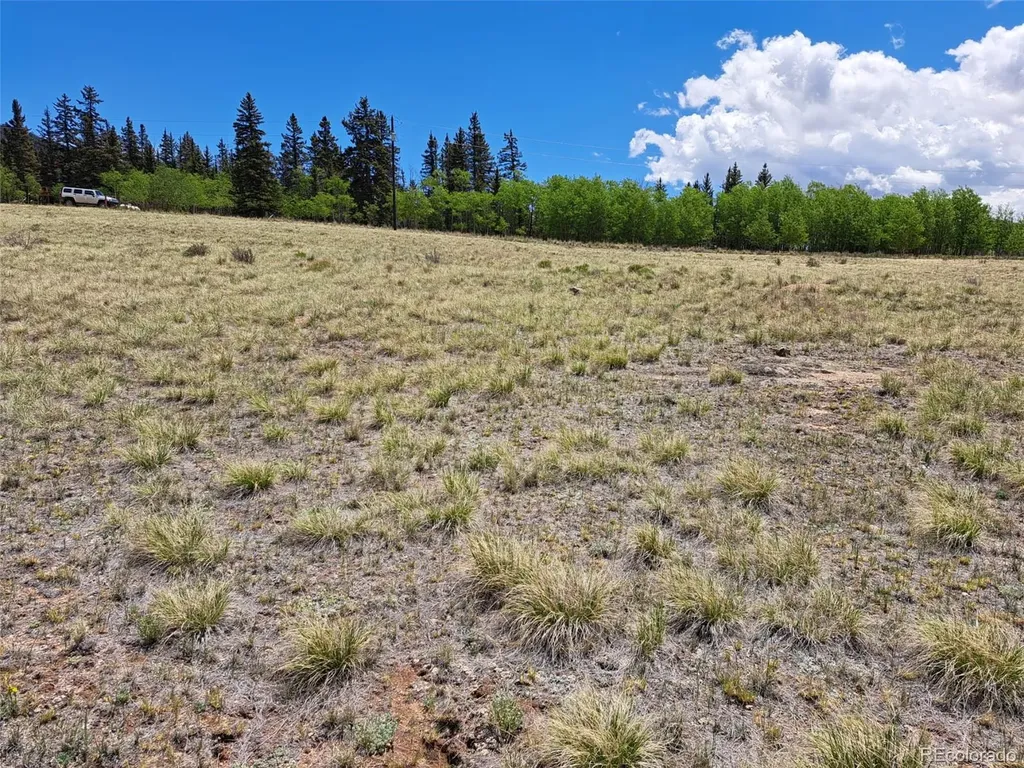 109 Chippewa Road Como CO 80432