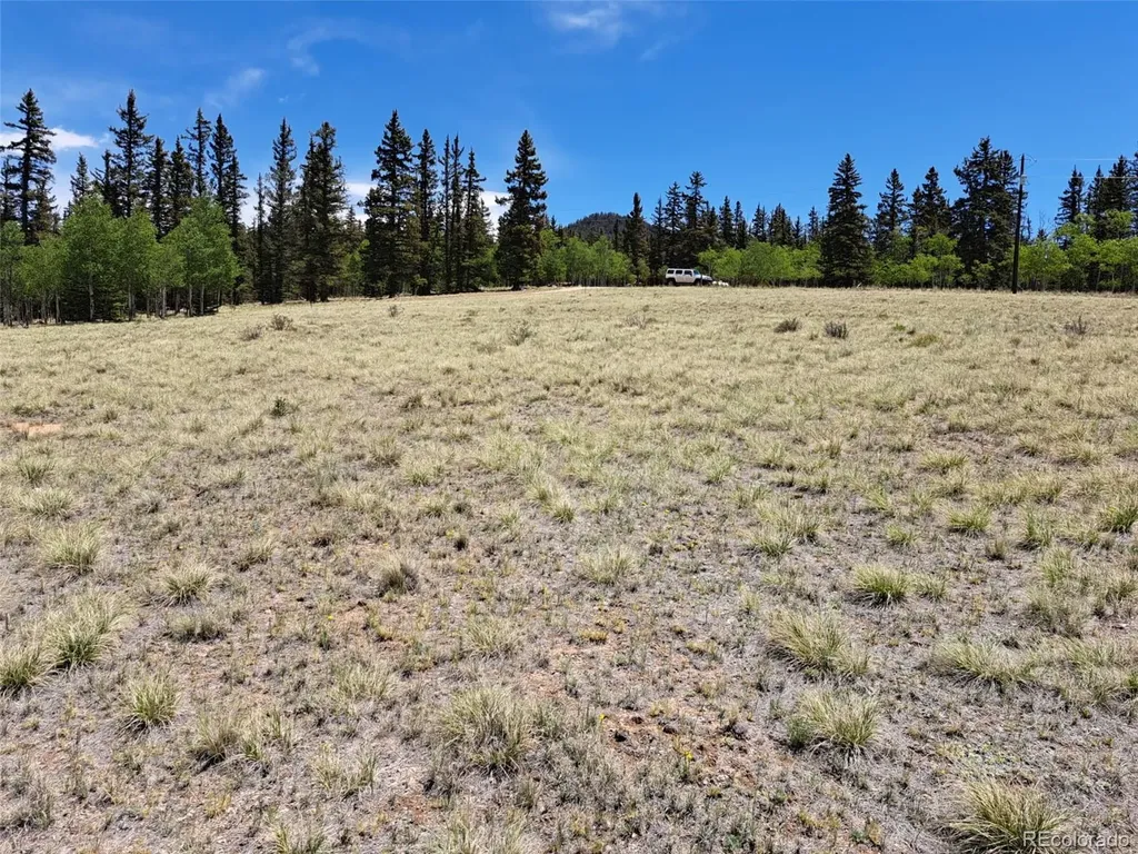 109 Chippewa Road Como CO 80432