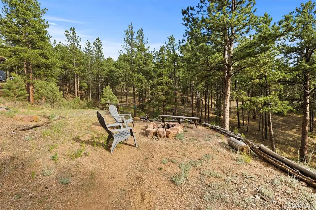 1110 Pikes Peak Drive Florissant CO 80816