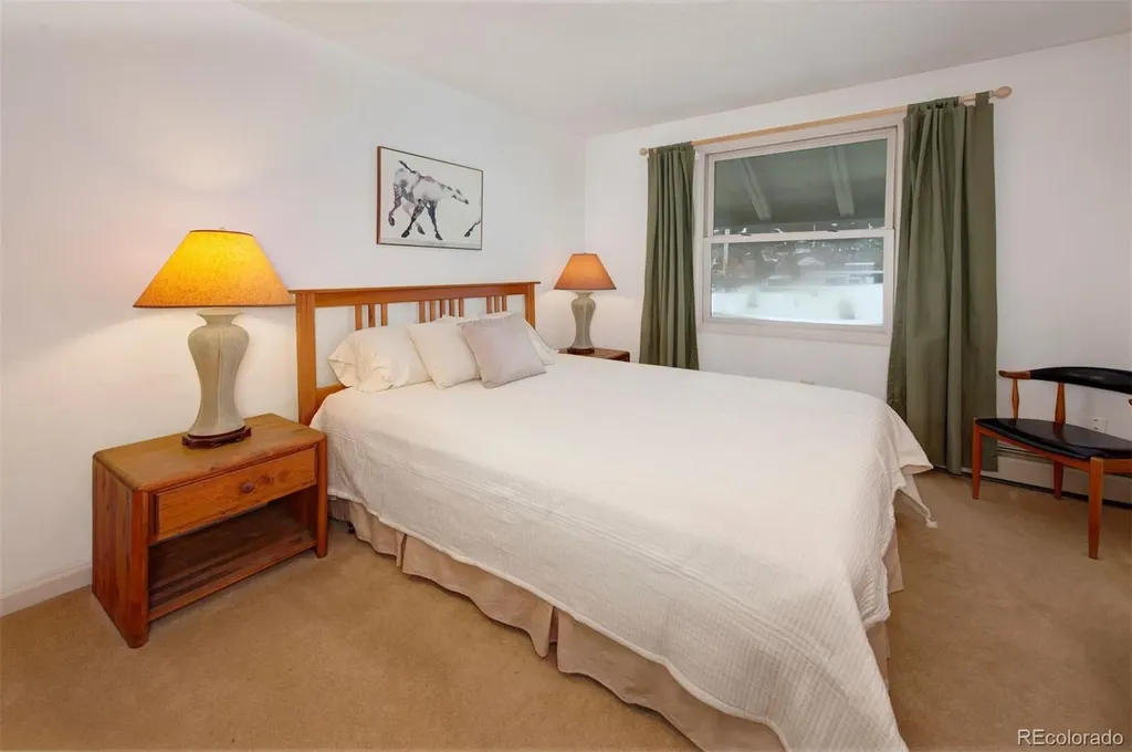 311 S High Street Breckenridge CO 80424