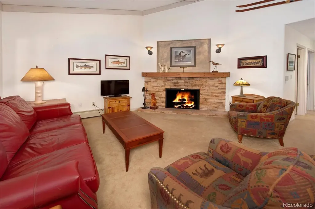 311 S High Street Breckenridge CO 80424
