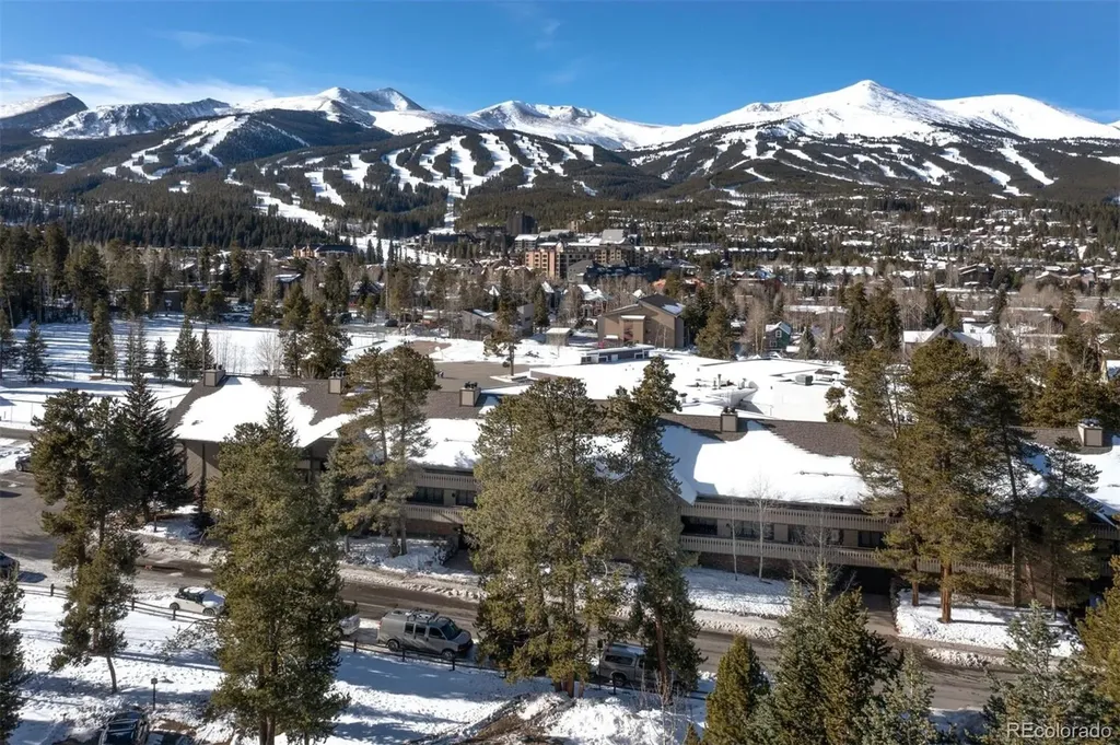 311 S High Street Breckenridge CO 80424