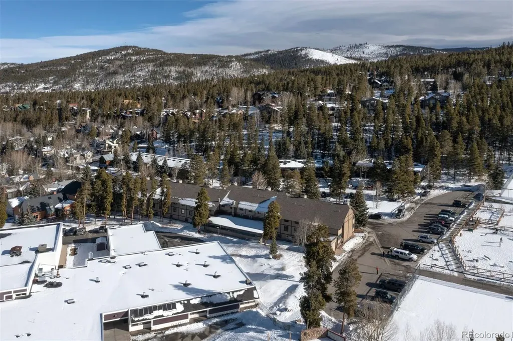 311 S High Street Breckenridge CO 80424