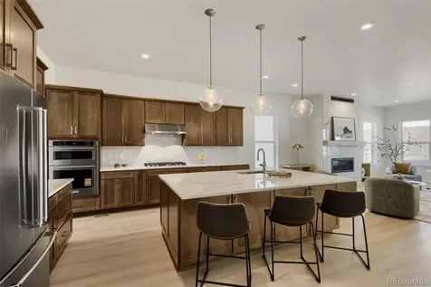 634 Leafy Aster Lane Castle Rock CO 80104