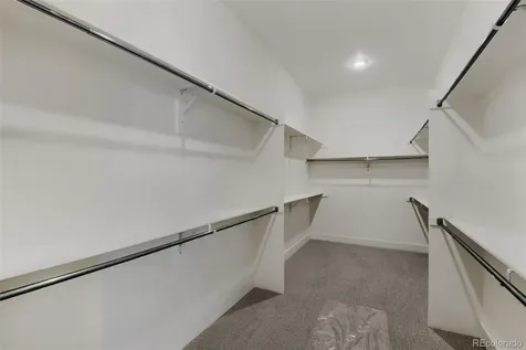 634 Leafy Aster Lane Castle Rock CO 80104