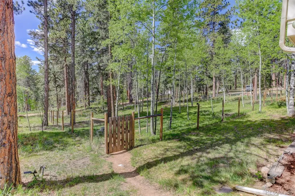 11135 Kennedy Avenue Conifer CO 80433