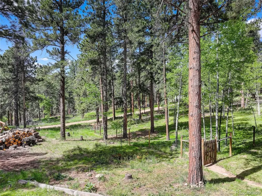 11135 Kennedy Avenue Conifer CO 80433
