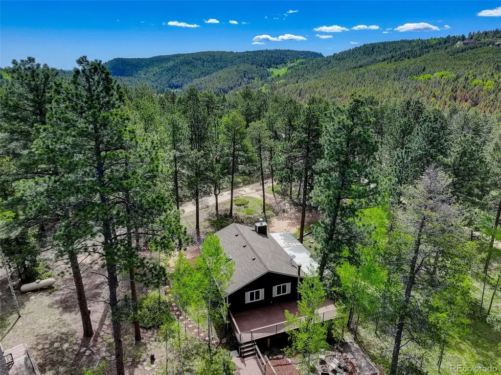 11135 Kennedy Avenue Conifer CO 80433