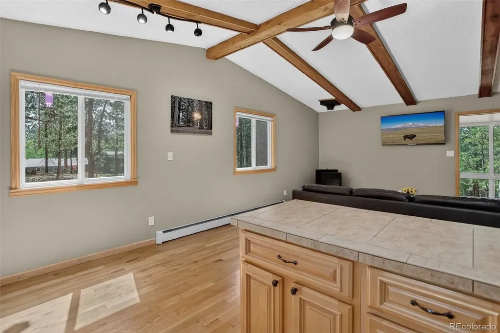 11135 Kennedy Avenue Conifer CO 80433